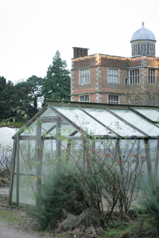 Doddington Hall Cutting Garden