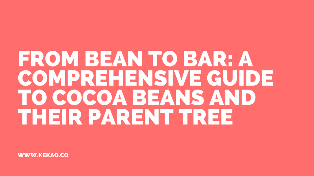 From Bean to Bar: A Comprehensive Guide to Cocoa Beans and Their Parent Tree