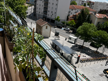Protection sur balcon avec plantes - Catsafe