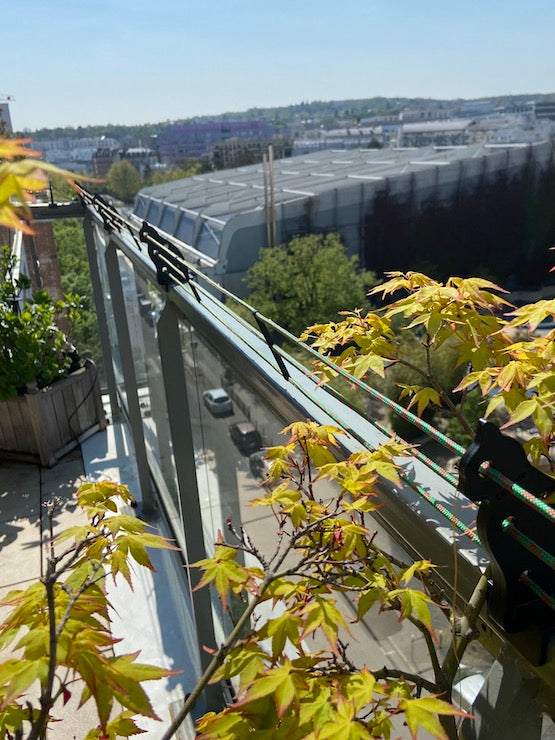 Cat-line pour la protection des balcons pour chats