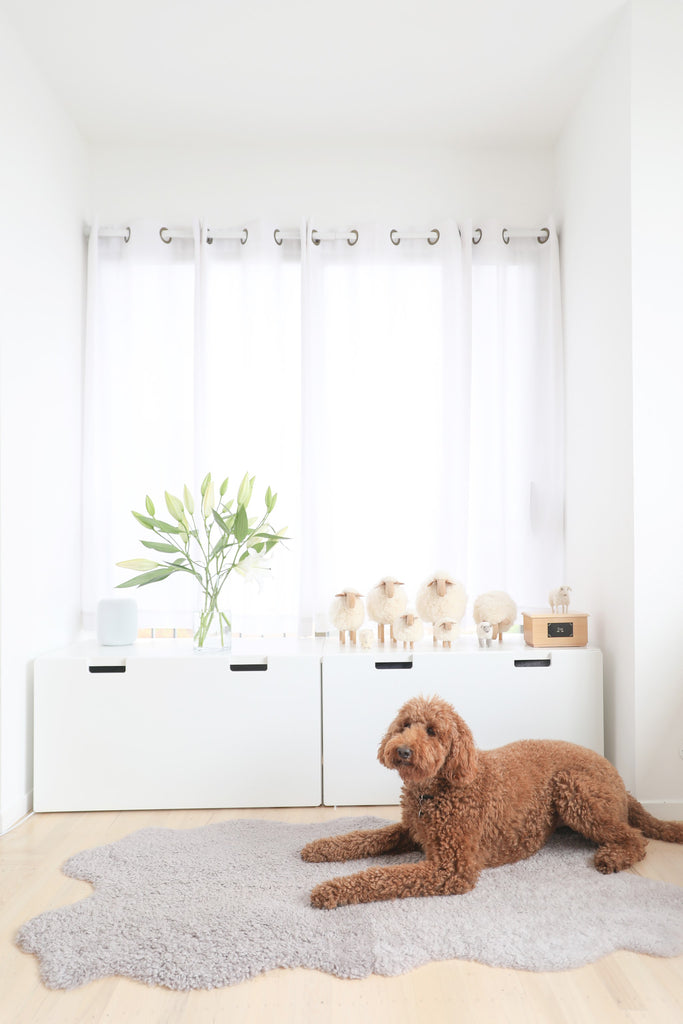Modern bedroom with sheepskin and brown standard poodle dog and sheep objects in Faunamade blog post