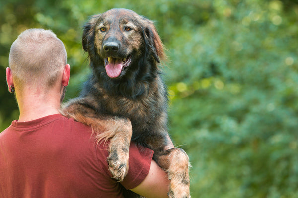 Por qué NO debes cargar a tu perro?