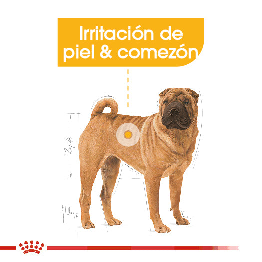 Royal Canin - Medium Dermacomfort