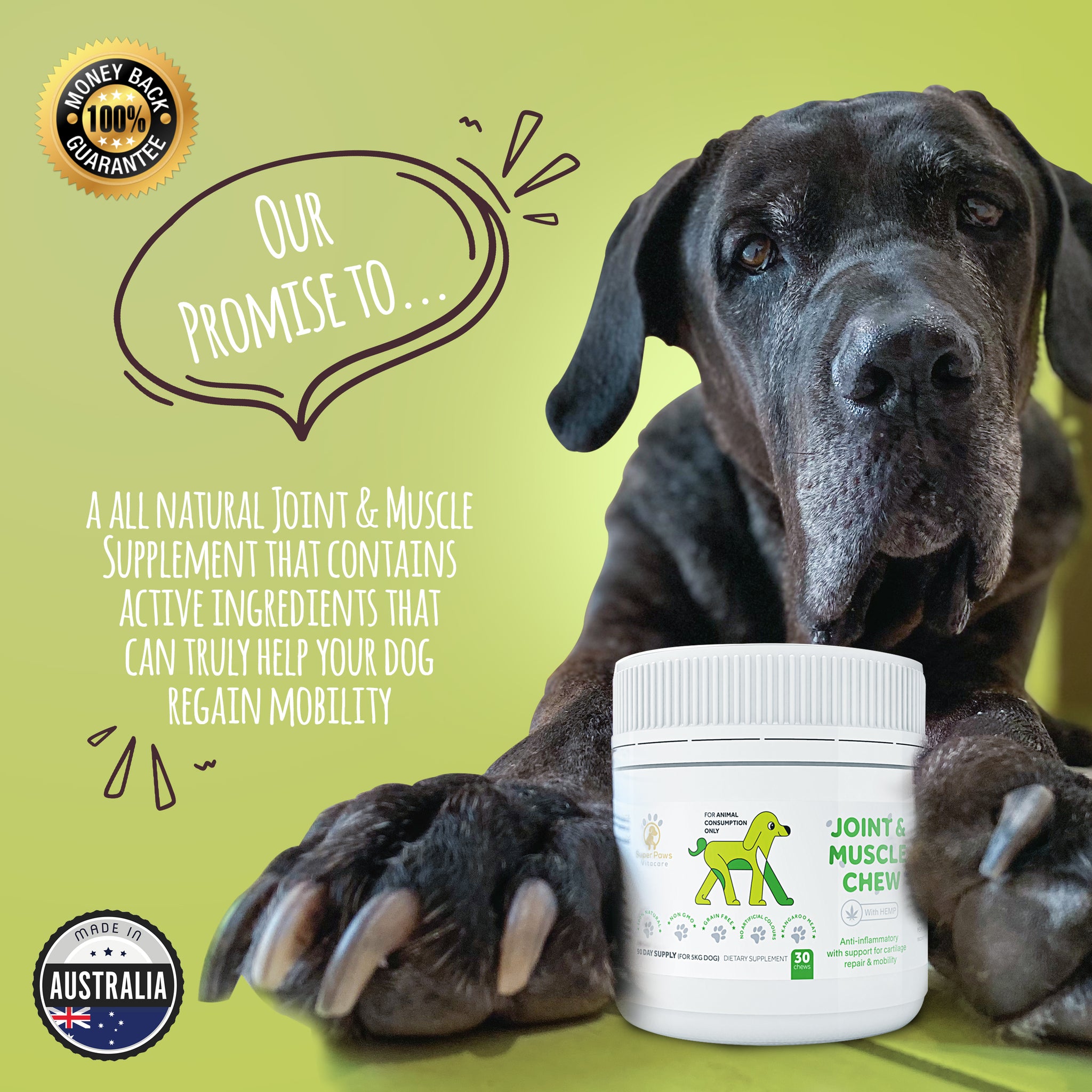 joint and muscle supplements for dogs