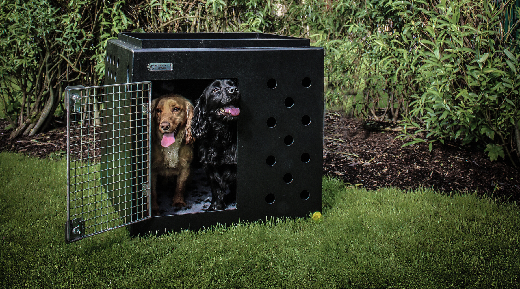 car dog cages for sale