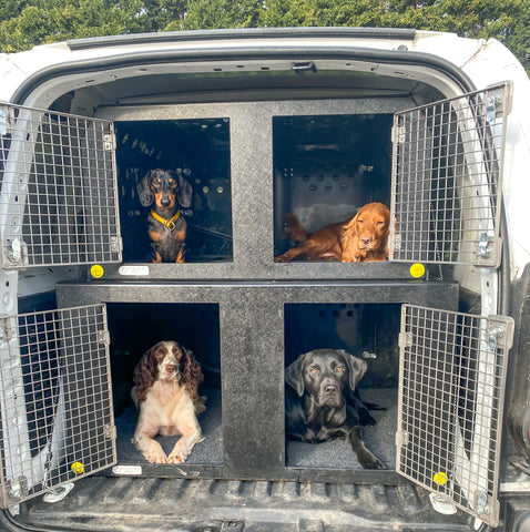 4 dogs in the double stack van boxes