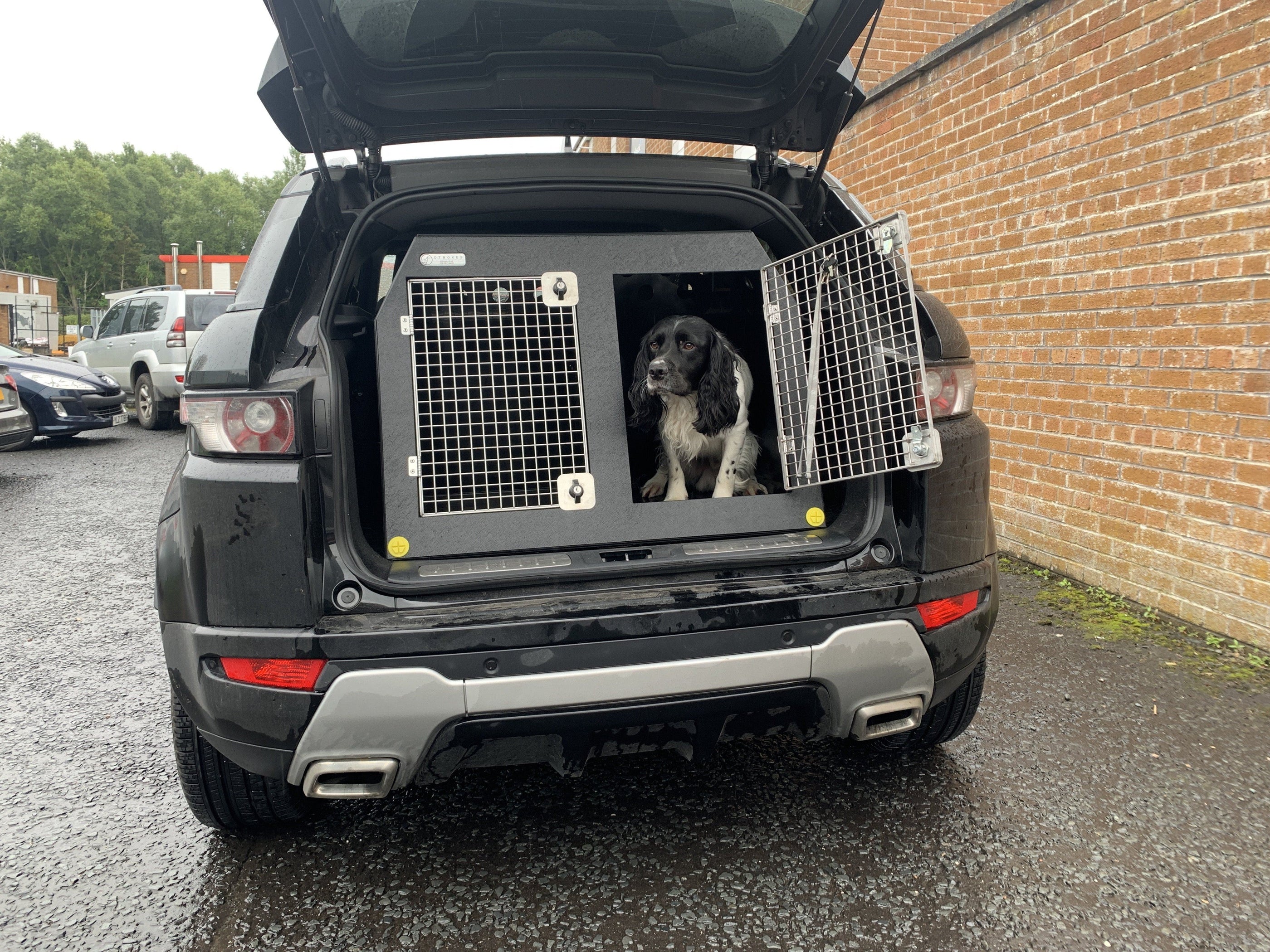 the range dog travel crate