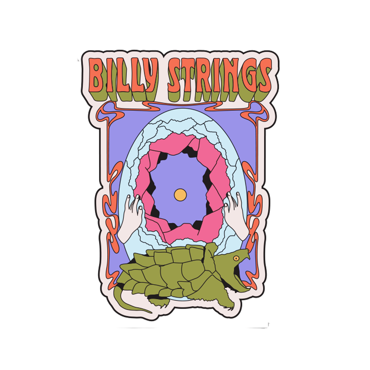 Pin: Snapping Turtle (Nick Potts)