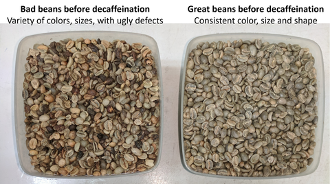 Good vs Bad Coffee Beans