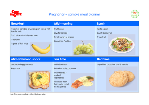 Pregnancy Sample Meal Planner