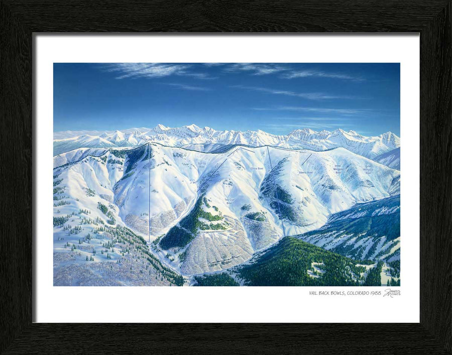 Vail Back Bowls Ski Map James Niehues