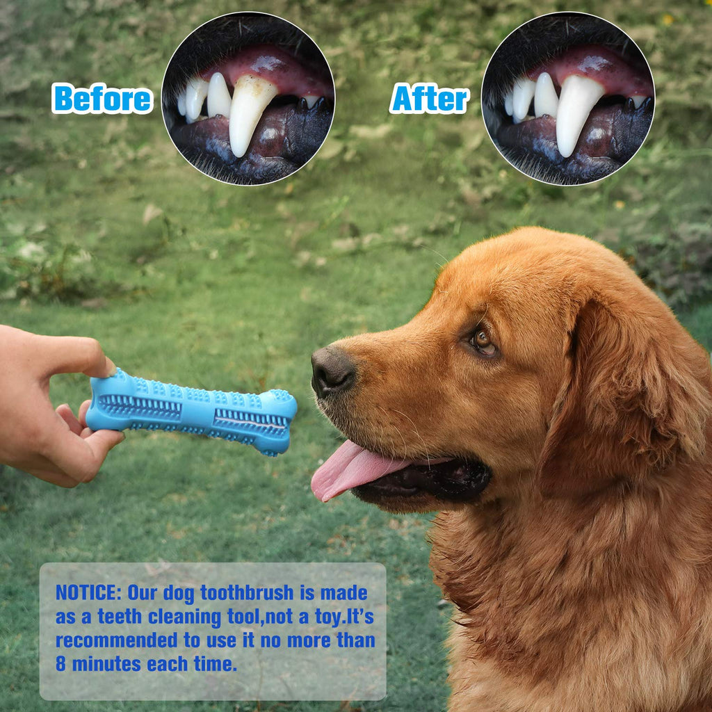 pawsafe toothbrush