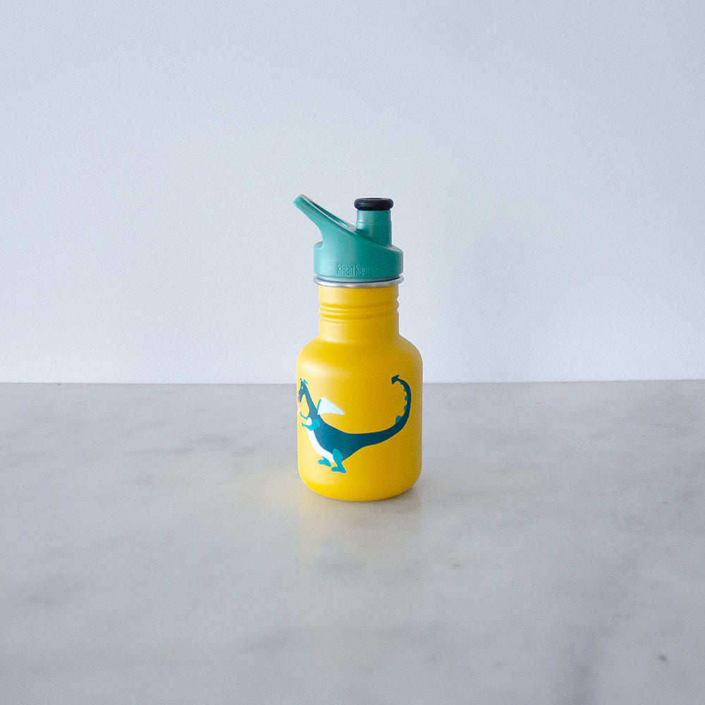 klean kanteen dragon