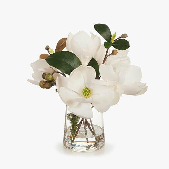 Magnolia in Vase