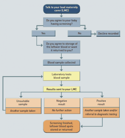 Flowchart illustrating the metabolic screening process.