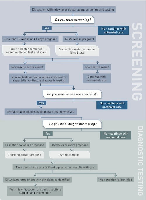 The screening and testing pathway describing when each offer to screen or test is made
