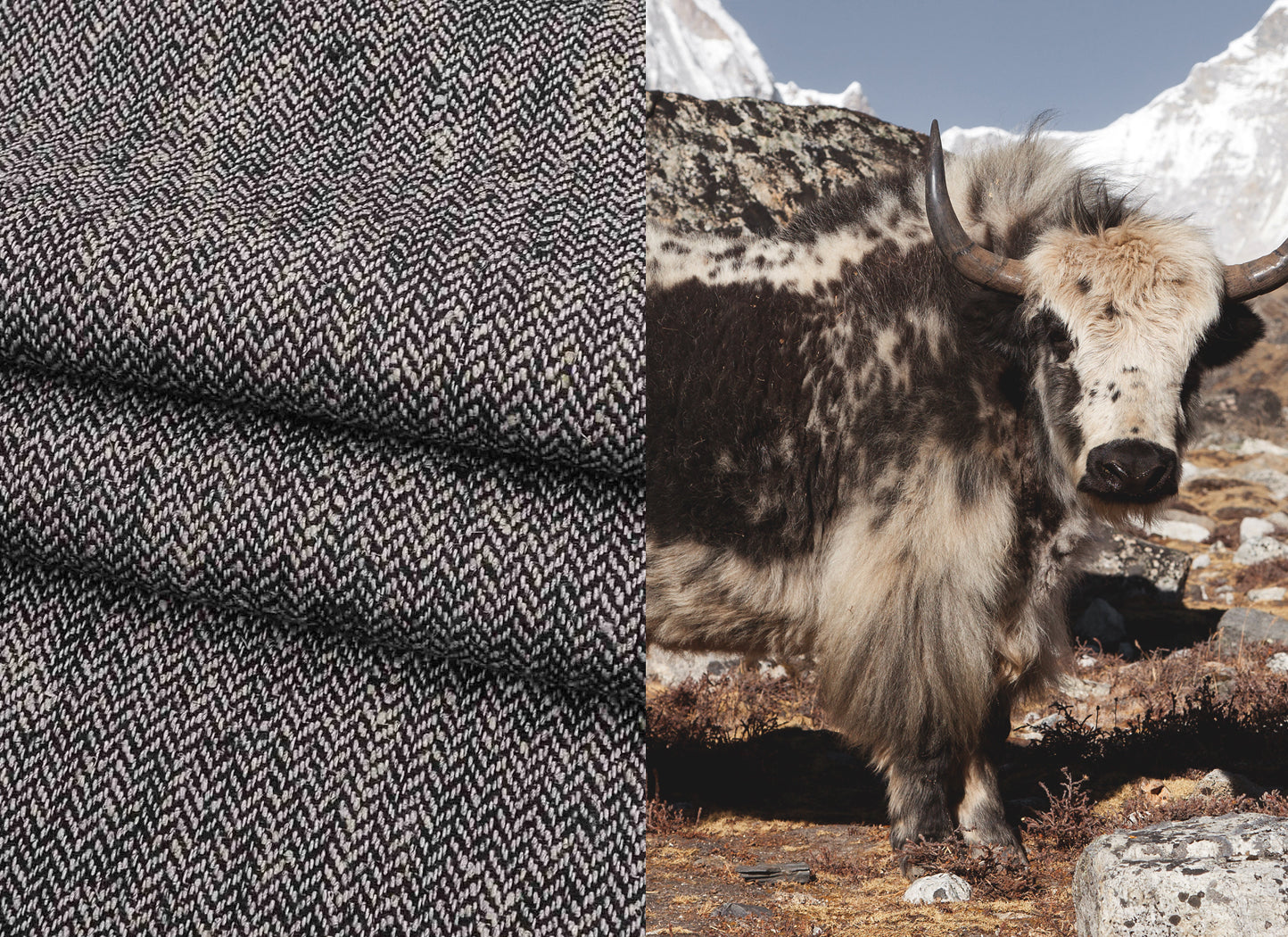 yak fiber hemo fiber fabrics