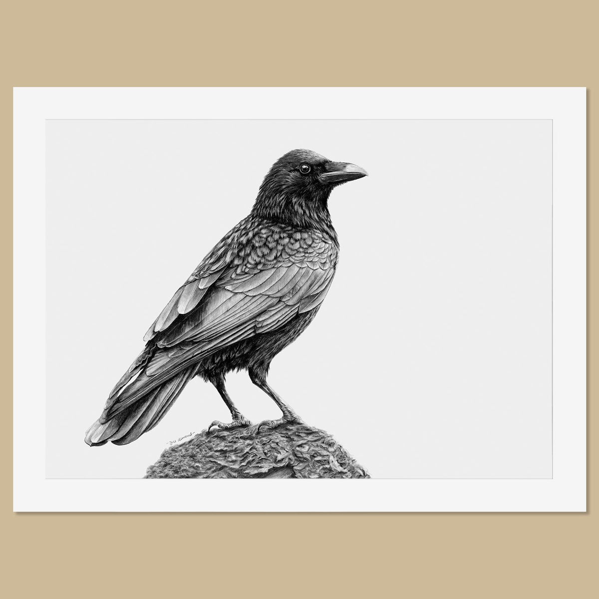 Original Crow Pencil Drawing FREE UK SHIPPING! — TheThrivingWild