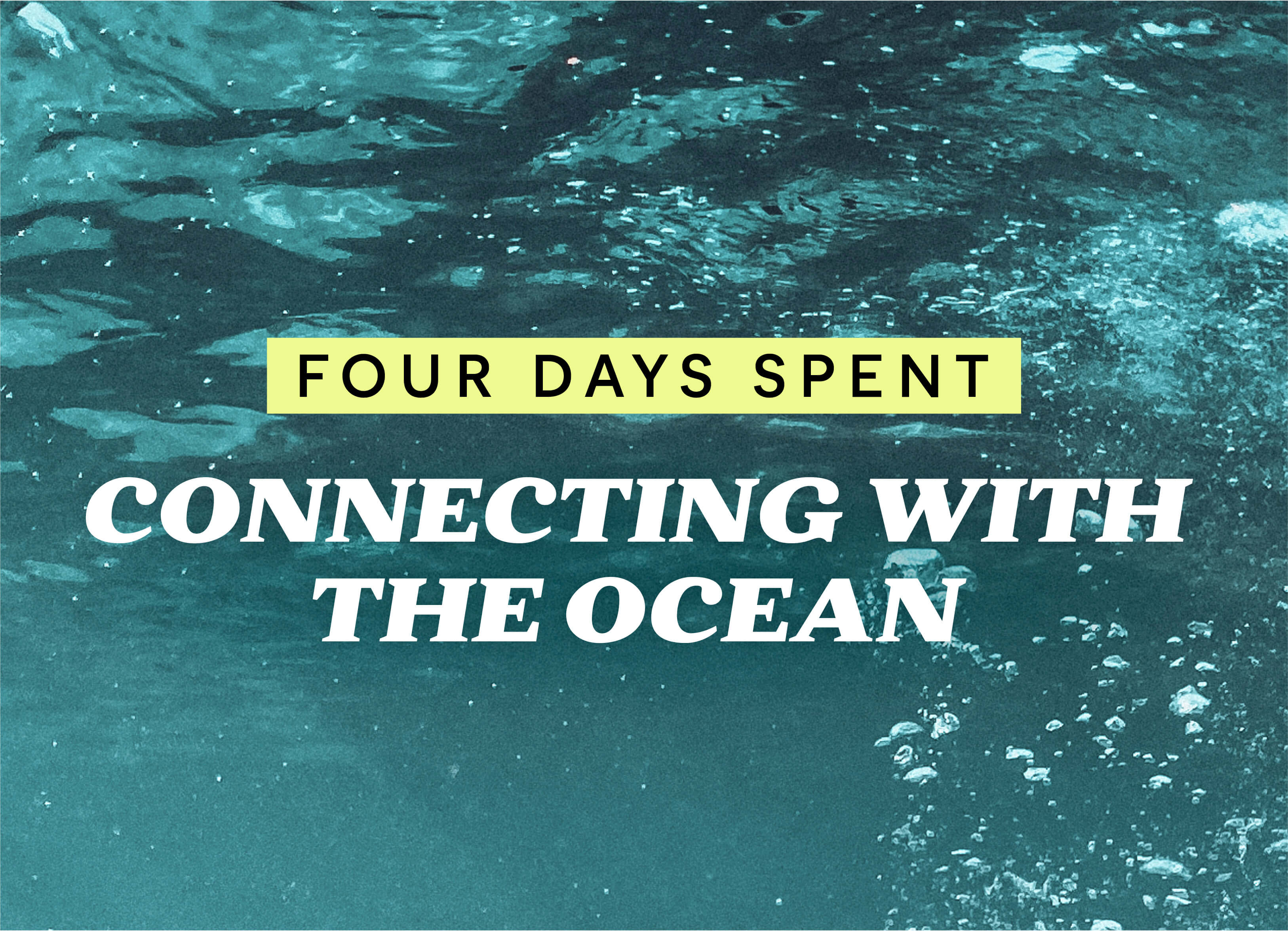FOUR DAYS SPENT CONNECTING WITH THE OCEAN