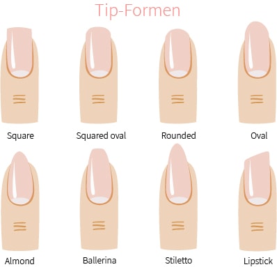 Nagel Verlangern Tip Oder Modellierschablone Nd24 Naildesign