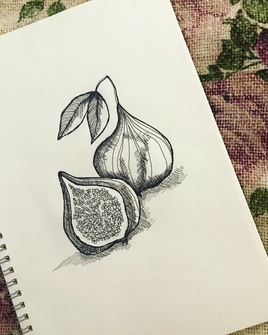 Hand drawn figs by Chelsey Wilson