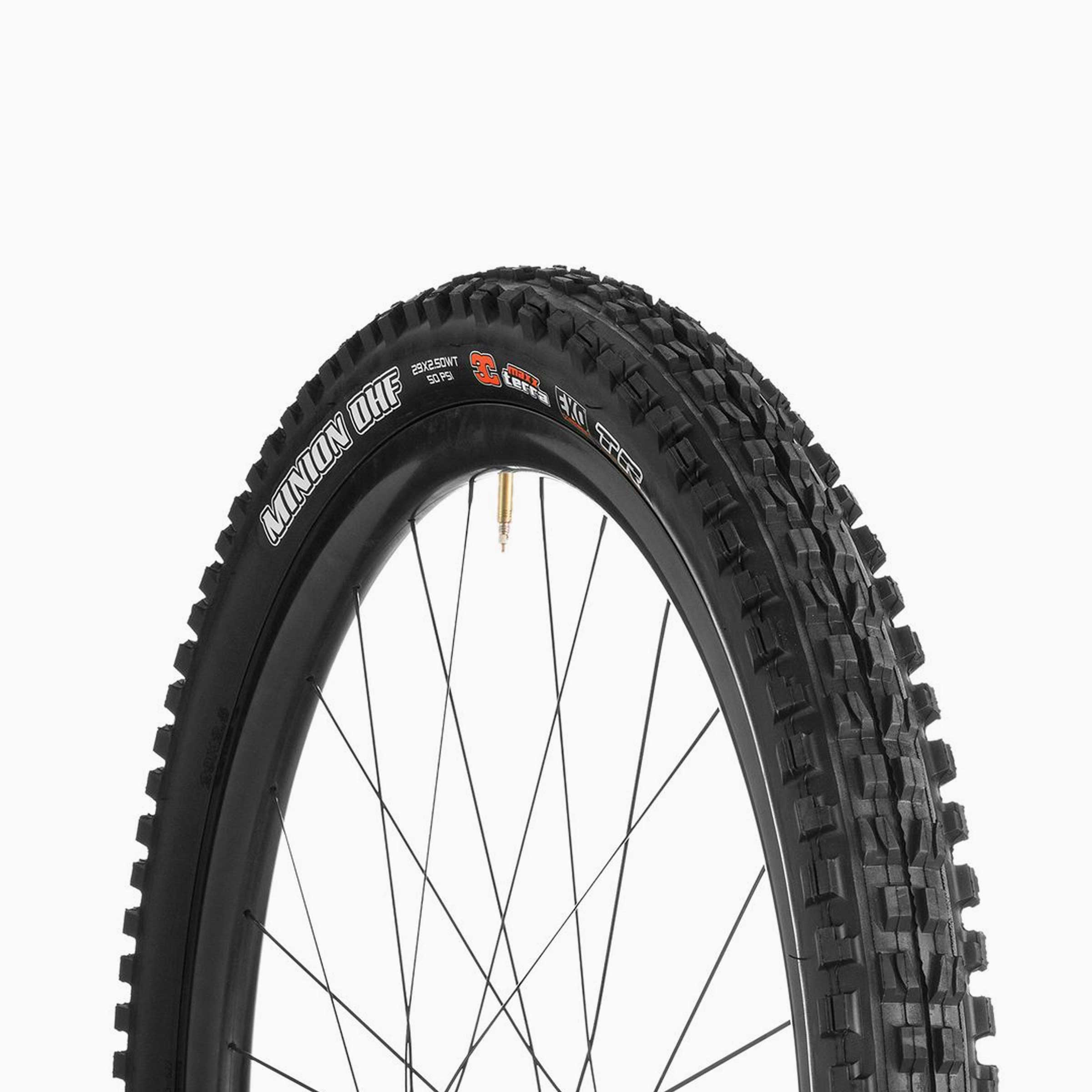 maxxis dhf 29x2 5