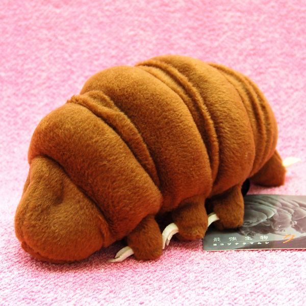 water bear plush mini