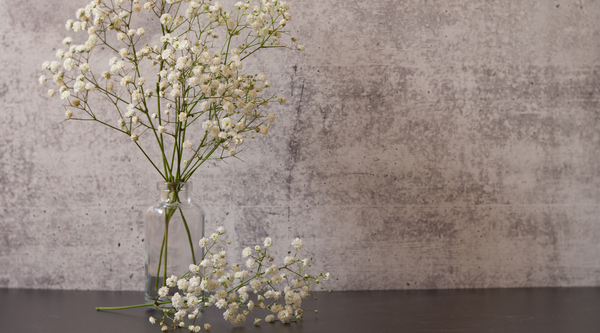 baby's breath bouquet arranged in a clear glass vase on a wooden table against a grey background with a large sprig of baby's breath fallen to the table next to the vase