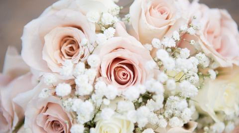 close up of pink roses and white blooms in a bridal bouquet