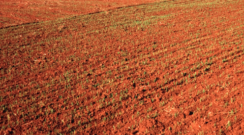 image of the red dirt of the redlands area with small plants popping through