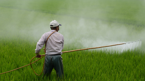 image of a green field with a man in a mask spraying it with chemicals with a commercial machine for are dried flowers sustainable