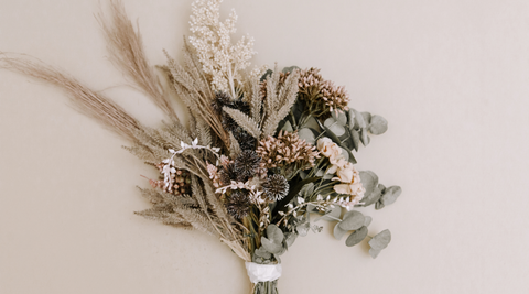 dried flowers, some natives and some pine cones and seeds in greys and whites and light greens to answer the question are dried flowers sustainable