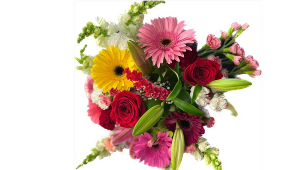 brightly coloured bouquet of pink, yellow and red gerberas and roses demonstrating biosecurity on imported flowers