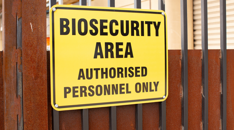 image of yellow sign reading Biosecurity Area Authorised Personnel Only on a wooden fence