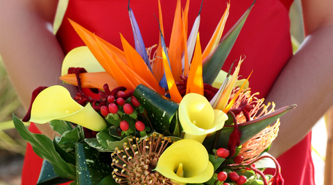 image of a woman in a red dress holding a stunning bird of paradise flower arrangement featuring bright coloured flowers and red berries