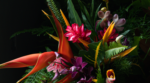 bird of paradise flower arrangement featuring boldly coloured tropical blooms including purple and bright pink orchids with greenery photographed against a deep black background