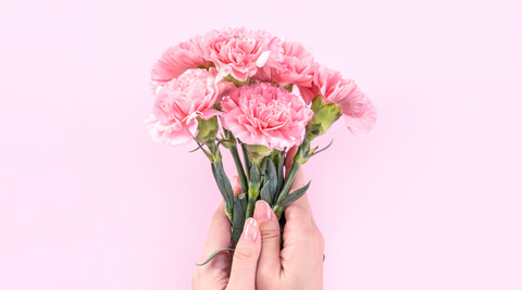 small bunch of pink carnations held up against a pink background for types of posy flowers