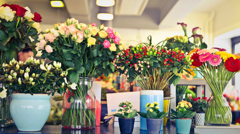 multiple vases of many colours with lots of different themes of christmas flower arrangements in them in the Flower Farm shop