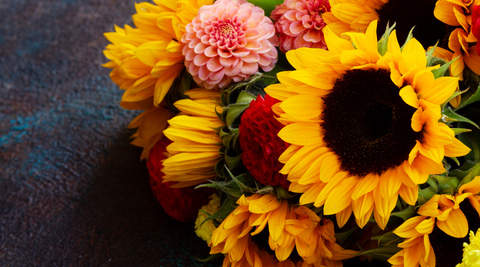 christmas flowers bouquet with sunflowers, lisianthus in bright yellows and pinks against a dark blue background