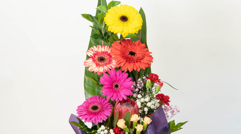tall arrangement of gerbera daisies, pink, orange, and yellow, for highlighting the colours and meanings of the colours of the blooms