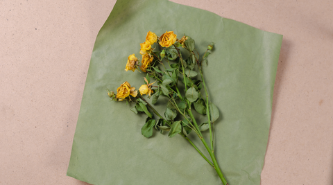 image of wilting yellow blooms on a green piece of paper on a pink background demonstrating how to recognise flower relay companies