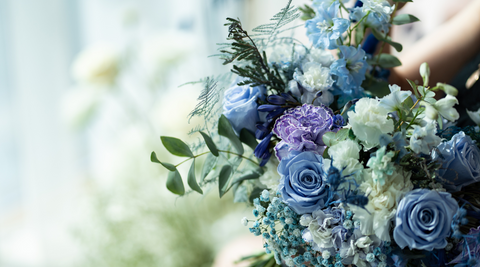 close up of beautiful blue, white and green blooms and greenery