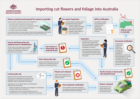 Infographic on the Australian biosecurity process