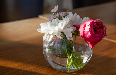 cut flowers in a vase for how to care for cut flowers