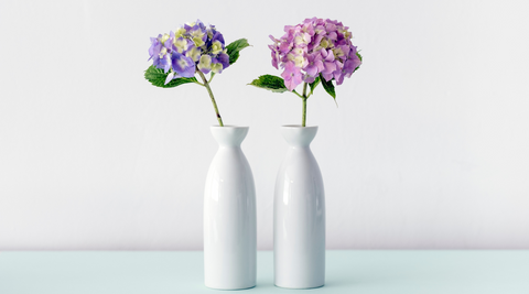 image of two white bud vases with blue and pink hydrangeas for how to choose the right vase for flowers 