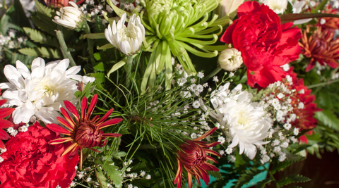 close up of white and red blooms with greenery for how to make christmas flower arrangements