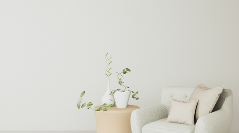 white room with minimal white furnishings and climbing ivy in a beige vase for modern flower style