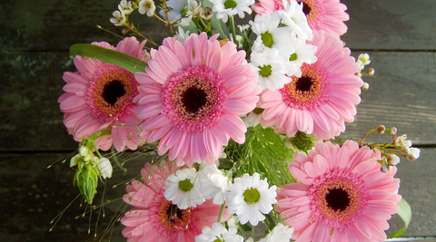 image of bouquet of pink gerberas and white blooms on a black background 