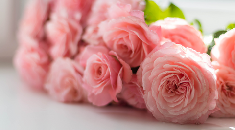 close up image of pink roses in bouquet on a white surface with a touch of greenery for The Flower Farm Brisbane florist