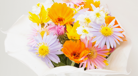 small bouquet of pink, white, orange and yellow daisies wrapped in white paper as an example of posy flowers
